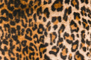 Close-up of plush leopard print fabric in tan and black, the pattern behind this season’s animal print abayas